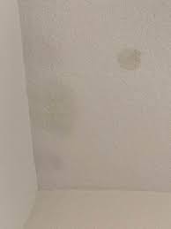 Is there an easy way for a non handy person… Is This Mold On My Room S Ceiling Is It Dangerous Home Improvement Stack Exchange