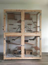 Pin On Pets Exotic Pets Cute Animals