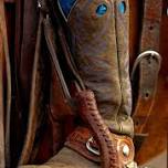 MFTHBA Celebration National Trail Ride