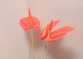eagle 摺紙 海芋alocasia macrorhiza origami flowers origami flowers
