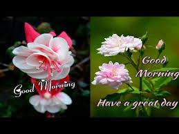Check spelling or type a new query. Beautiful Good Morning Images Youtube Good Morning Images Good Morning Beautiful Morning Images