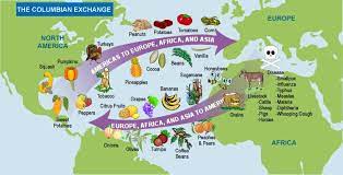 The columbian exchange occurred when christopher columbus introduced concepts of mercantilism to the new world. Plants Along The Exchange Sutori