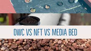 Dwc Vs Nft Vs Media Beds Thepaullingworkshop