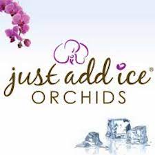 Check spelling or type a new query. Justaddiceorchids Youtube