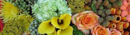 Each floral warehouse we operate handles products with the utmost care to ensure flowers remain pristine and supplies intact. Hill S Wholesale Florist Longview Tx Alignable