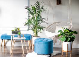 Live plants add color to any room and they're fairly. Decorate With Houseplants Interior Design Ideas
