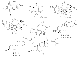 Image result for Tabernaemontana inconspicua