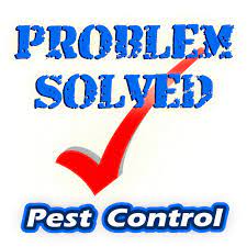 Do you need pest control service in punta gorda ? Problem Solved Pest Control Inc Reviews Punta Gorda Fl Angi