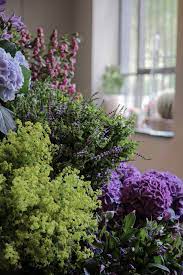 Cambridge Heath Flower Shop Best Flower Wallpaper