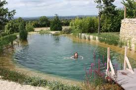 Natural Swimming Ponds White Noise Natural Swimming Pools Natural Swimming Ponds Swimming Pond