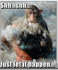 Dearest Hedgies With Warmest Regards Everyone Holding Gme Xoxo This Meme Never Gets Old Gme