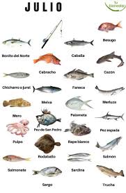 Informacion Pescados De Este Mes Recetasfaciles Recetasgratis Foodideas Recetasdeliciosas Rec Pescados Y Mariscos Comida Saludable Ensaladas Comida Y Vino