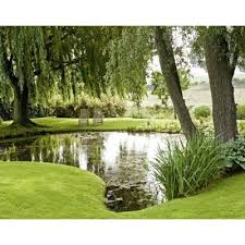 Wasser Im Garten Das Grosse Ideenbuch Wasserspiel Garten Teichlandschafts Wasser Im Garten