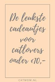 De Leukste Cadeautjes Voor Kattenliefhebbers Onder 10 Catmom