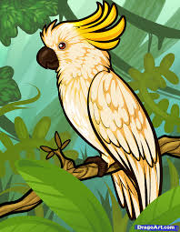Bird Drawing For Kids Parrot How To Draw A Cockatoo Parrots Art Bird Drawings Parrot Drawing