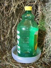 Check spelling or type a new query. Homemade Chick Waterer The Prairie Homestead
