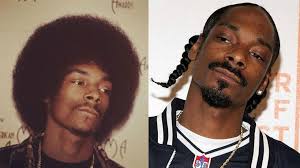 He has many holdings in restaurants, as well as some fashion companies, which brought him 75 million in 2014. Snoop Dogg Net Worth 2020 How Rich Is Snoop Dogg