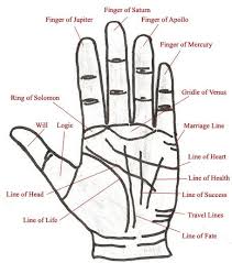 Hand Astrology Malayalam Ikuzo Astrology Palmistry Palm