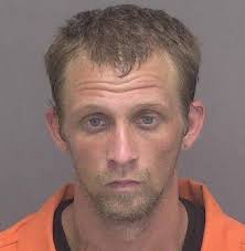 Rockford Man Captured By Decatur K9 After Fleeing Police