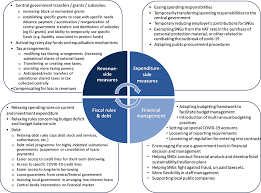 The Territorial Impact Of Covid 19 Managing The Crisis Across Levels Of Government