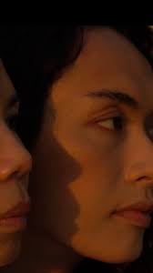 This is our cinematic Magnum opus together.” 💫 From a book to shorts to  the #TIFF50 World Premiere of MODERN WHORE, director Nicole Bazuin reflects 