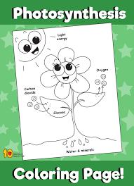 Photosynthesis Coloring Page Photosynthesis Photosynthesis Activities Coloring Pages
