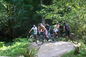 Horse creek lodge & outfitters. Horse Creek Lodge Outfitters Updated 2021 Reviews Oregon Mckenzie Bridge Tripadvisor