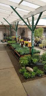 The staff is extremely knowledgeable and helpful. Johnson Garden Center Posts Facebook