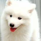 たくさんあるおもちゃ どう片づける みんなハッピーになる収納術 おやこぐらし12 の画像1 育児 こども 収納 ikea おもちゃ 収納