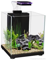 Home aquarium 7 best betta fish tank: Betta Sanctuary Glass 10l Black Aqua One