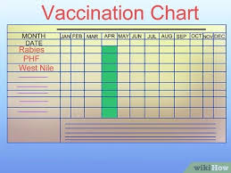 Generally, the core vaccines protect against rabies, eastern/western equine encephalitis (eee/wee), tetanus and the west nile virus. How To Vaccinate Horses 12 Steps With Pictures Wikihow