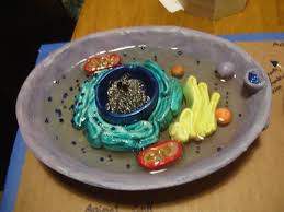 Animal Cell Model Pic Heavy Pottery Ceramics Polymer Clay Animal Cells Model Animal Cell Cell Model Project