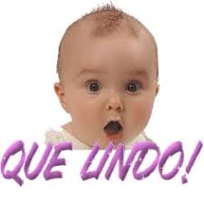 Graca Rodrigues (rgraca308)