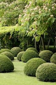 Pin Di Dirk Huelskoetter Su Softscapehardscapethatmovesme Splendidi Giardini Design Giardino Giardini Esterni