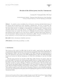 Image result for Annickia lebrunii