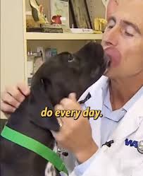 Sassystuff Consignment