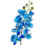 Blue Orchid from www.silkplantsdirect.com