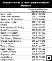 Emergency numbers in malaysia as malaysia's largest city, kuala lumpur is well serviced. What Can We Malaysians Do When We See An Animal Being Abused News Rojak Daily