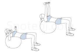 I'm just trying to gauge what kind of base # of calories certain exercises will burn vs others… i.e. Stability Ball Chest Press Illustrated Exercise Guide