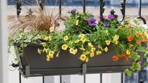 Composer Une Jardiniere De Fleurs Sur Son Balcon Cote Maison Fr jardinières (bacs à fleurs) et bacs à fleurs destinés à être fixées à des grilles, à des grilles de en business mediation in the purchase, sale, import and export and wholesaling and retailing of. fleurs sur son balcon