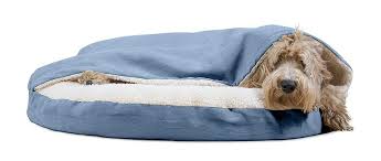 Make a dog bed from reclaimed bedding. 20 Amazingly Cute Dog Beds For Your Pup My Dog S Name
