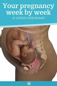 Jun 03, 2020 · the american college of obstetricians and gynecologists (acog) as outlined the following terms for pregnancy, depending on when your baby is born: 41 Weeks Pregnant Babycenter 40 Weeks Pregnant 38 Weeks Pregnant 41 Weeks Pregnant