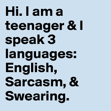 Hi I Am A Teenager I Speak 3 Languages English Sarcasm Swearing Post By Kj55 On Boldomatic