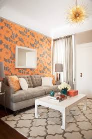 Living room accents for all styles. Grey And Orange Houzz