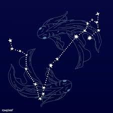 Download Premium Vector Of Pisces Astrological Sign Design Vector 1201372 Astrology Signs Pisces Sign Design