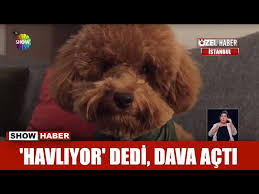 Havliyor Dedi Dava Acti Youtube