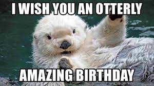 Pin By Zombee Ghoul On Happy Birthday Birthday Meme Otters Happy Birthday Meme