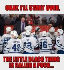 Lift your spirits with funny jokes, trending memes, entertaining gifs, inspiring stories, viral videos, and so much more. 37 Funny Toronto Maple Leafs Insults Ideas Toronto Maple Leafs Maple Leafs Toronto Maple