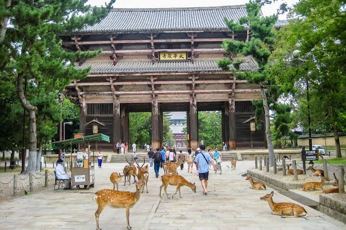 Qué visitar en Nara (lo que no te puedes perder)