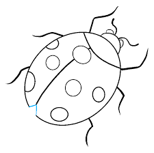 Watercolor paper* crayons* crayon sharpener*. How To Draw A Ladybug Really Easy Drawing Tutorial